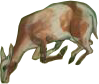 FarhadFalseNews_0005_Layer-0-copy-8.png