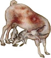 Basawan_0005_Layer-0.png