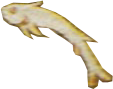 PeafowlBaburnama_0009_Layer-0-copy.png