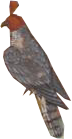 AkbarEmpfängtKhan_0002_Layer-0-copy-2.png
