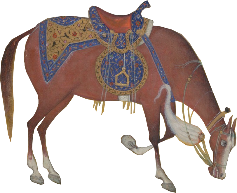 BahramGur_0027_Layer-0.png