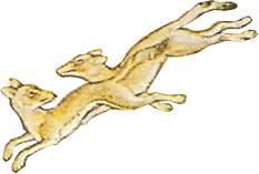 RhinoHuntBabur_0001_Layer-0-copy-3.png