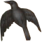BattleArmyMirzaAhmadabad_0003_Layer-0-copy.png