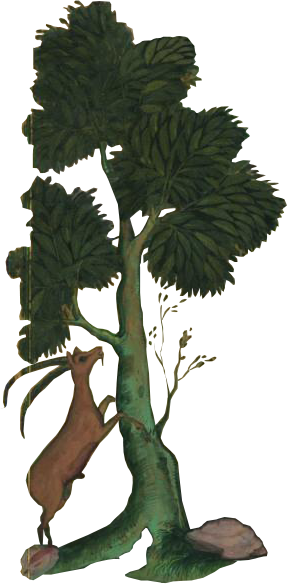FarhadFalseNews_0010_Layer-0-copy-3.png
