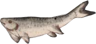 SchiffDelhiAgra_0001_Layer-0.png