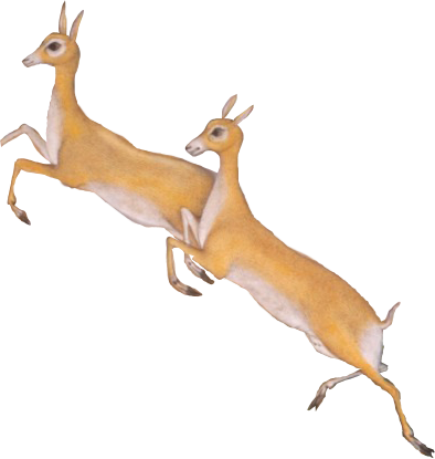 HuntingBlackBuck_0002_Layer-0-copy-12.png