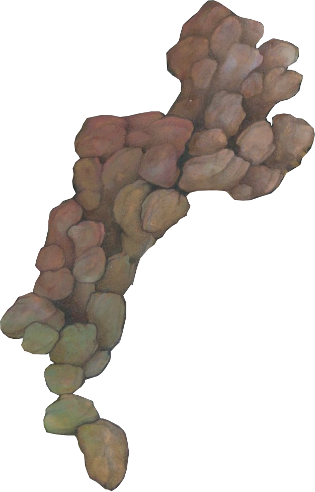 BahramGur_0010_Layer-0-copy-17.png
