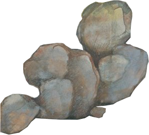 BahramGur_0003_Layer-0-copy-24.png