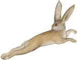 JagtUmgebungAgra_0005_Layer-0-copy-9.png