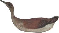 BahramGur_0023_Layer-0-copy-4.png