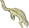 PeafowlBaburnama_0001_Layer-0-copy-9.png