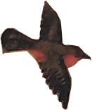 GreatGoddessChamunda_0003_Layer-0-copy-2.png