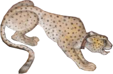 JagtUmgebungAgra_0004_Layer-0-copy-10.png