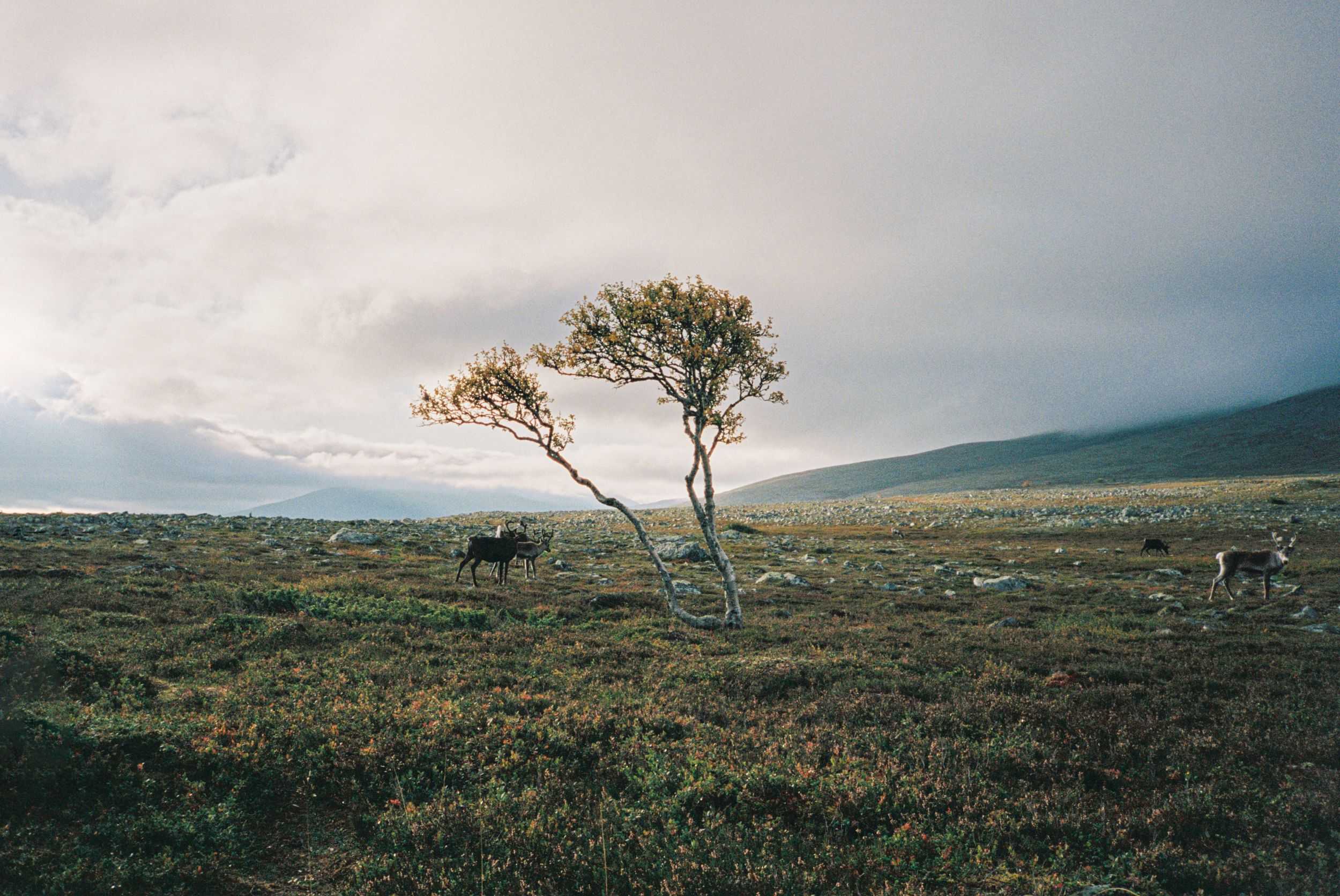 R1-02718-0029-Edit.png