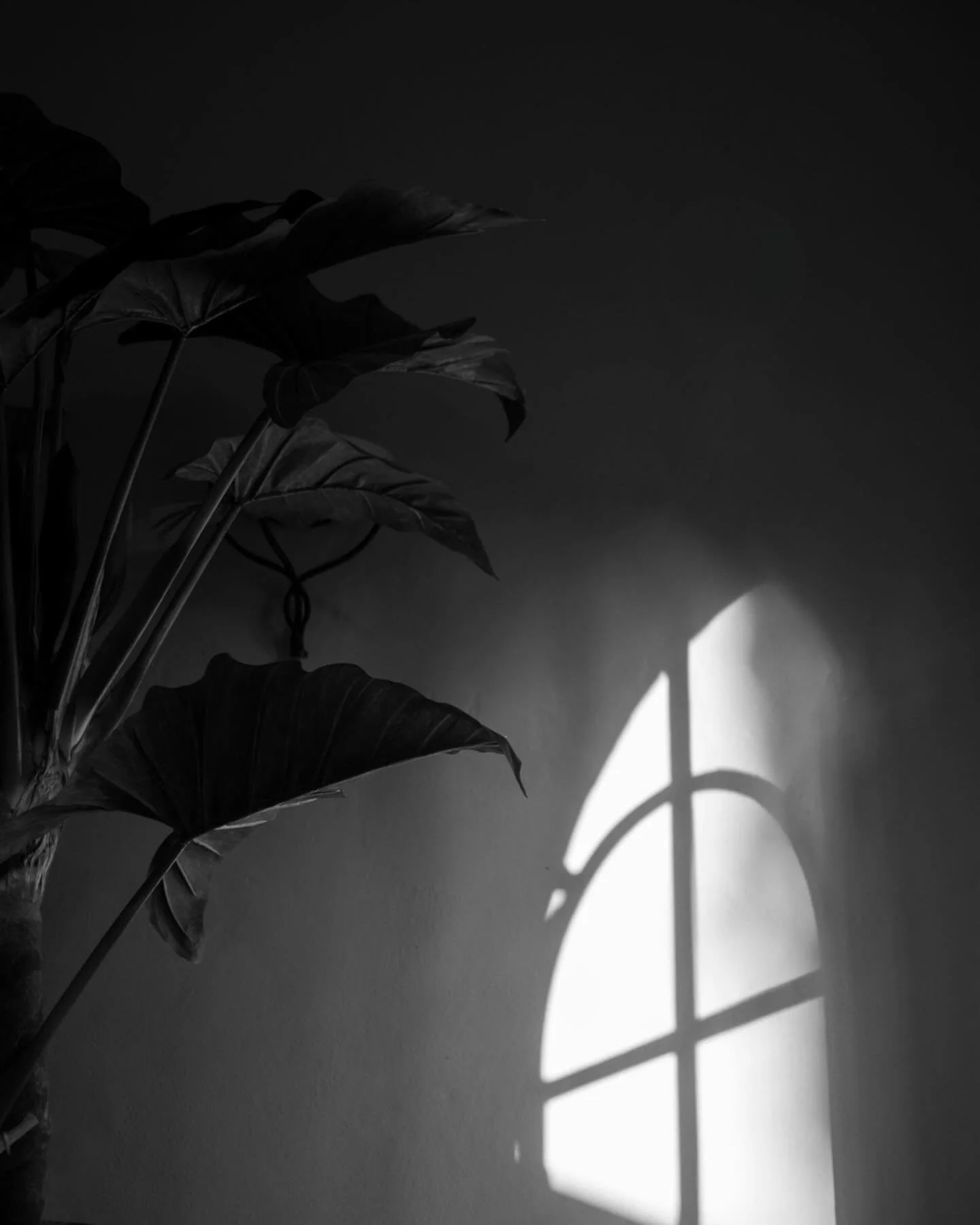 kianne &amp; daimien @morrhof / september 2025 
on film &amp; digital 

location: @morrhof 
photo: @nellypauly 
super 8: @nellypauly 
assistant photographer: @johannadegenstein_photography , @johannadegenstein 
flowers: @frankfurtflowers 
h&amp;m: @j