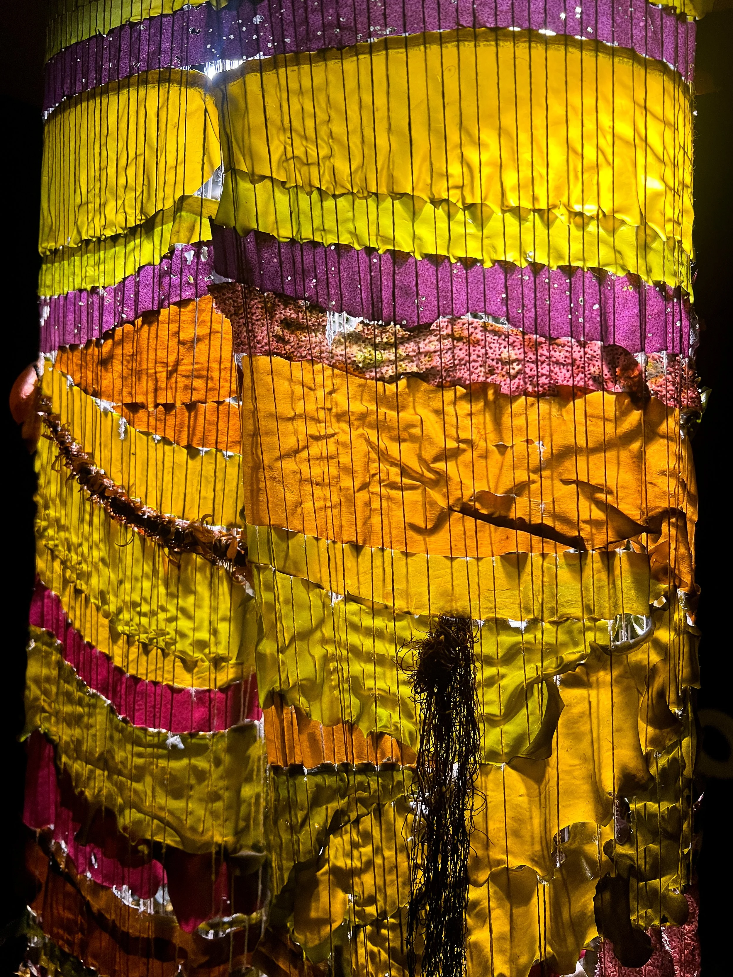 Seaweed Trousers_2025_Photo Cred Jessie Curry_16.jpg