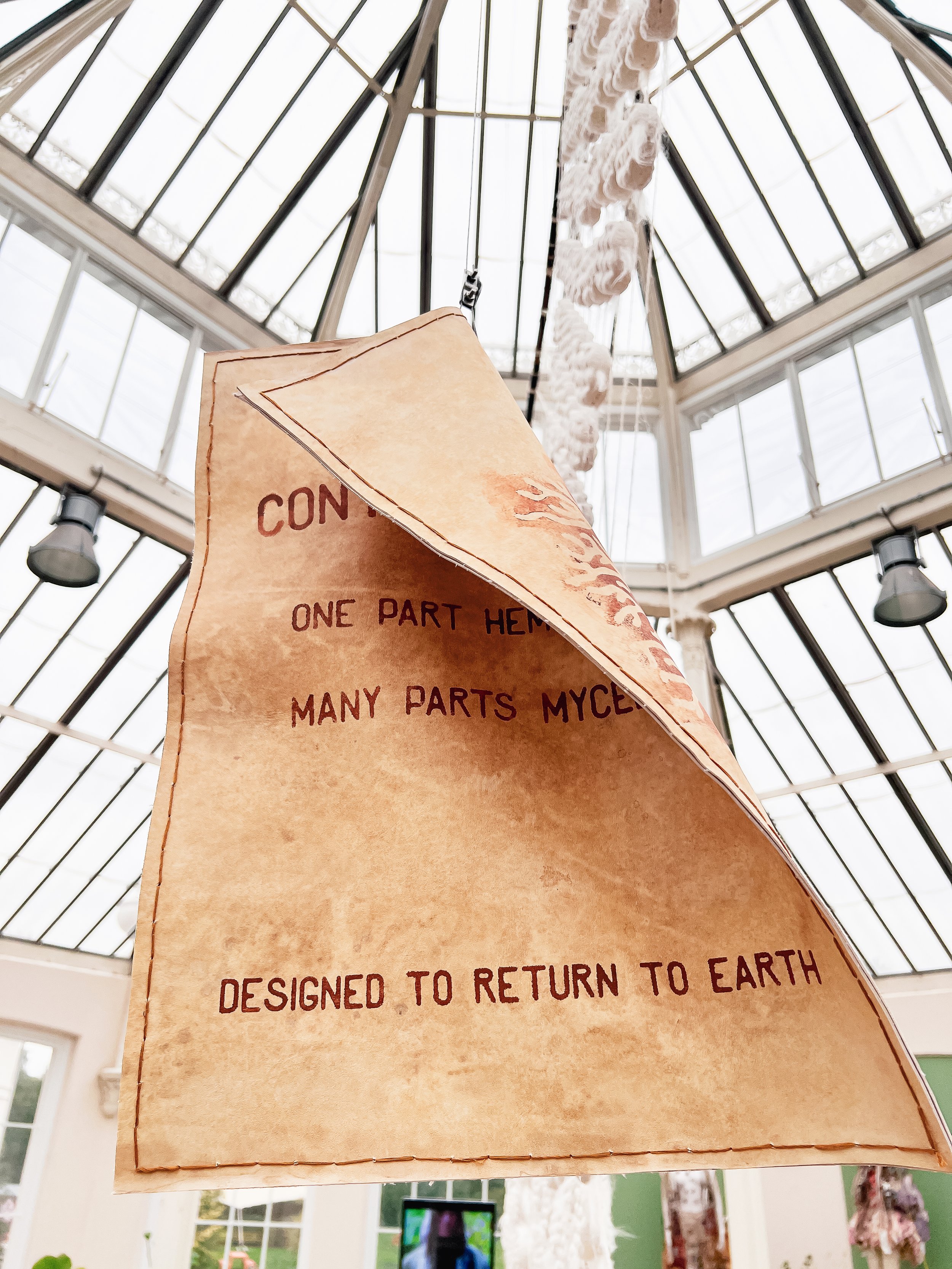 Hyphal Body_2025_Jessie Curry_21.jpg