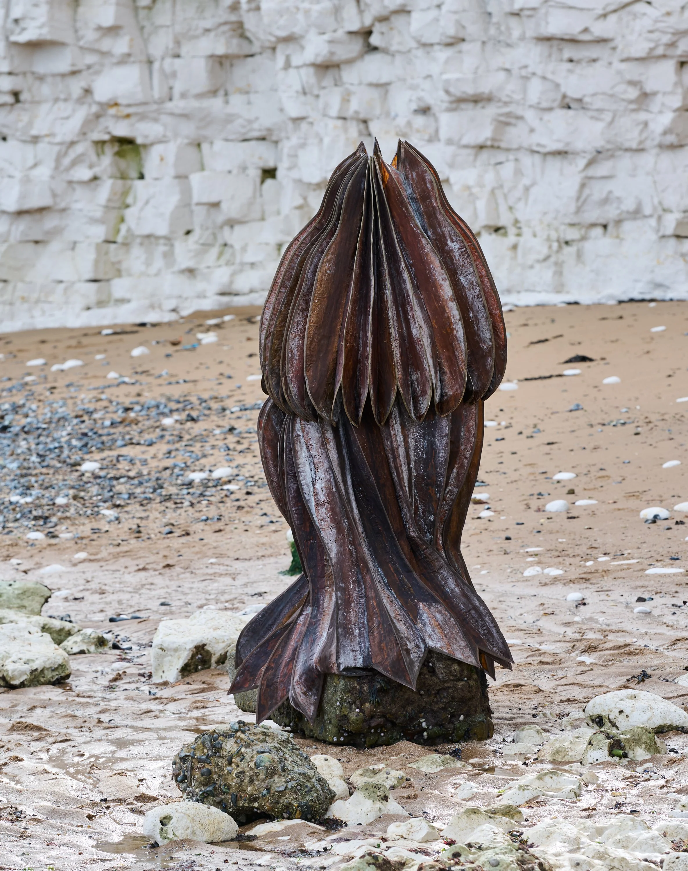 2.AP.Seed of Life.jpg