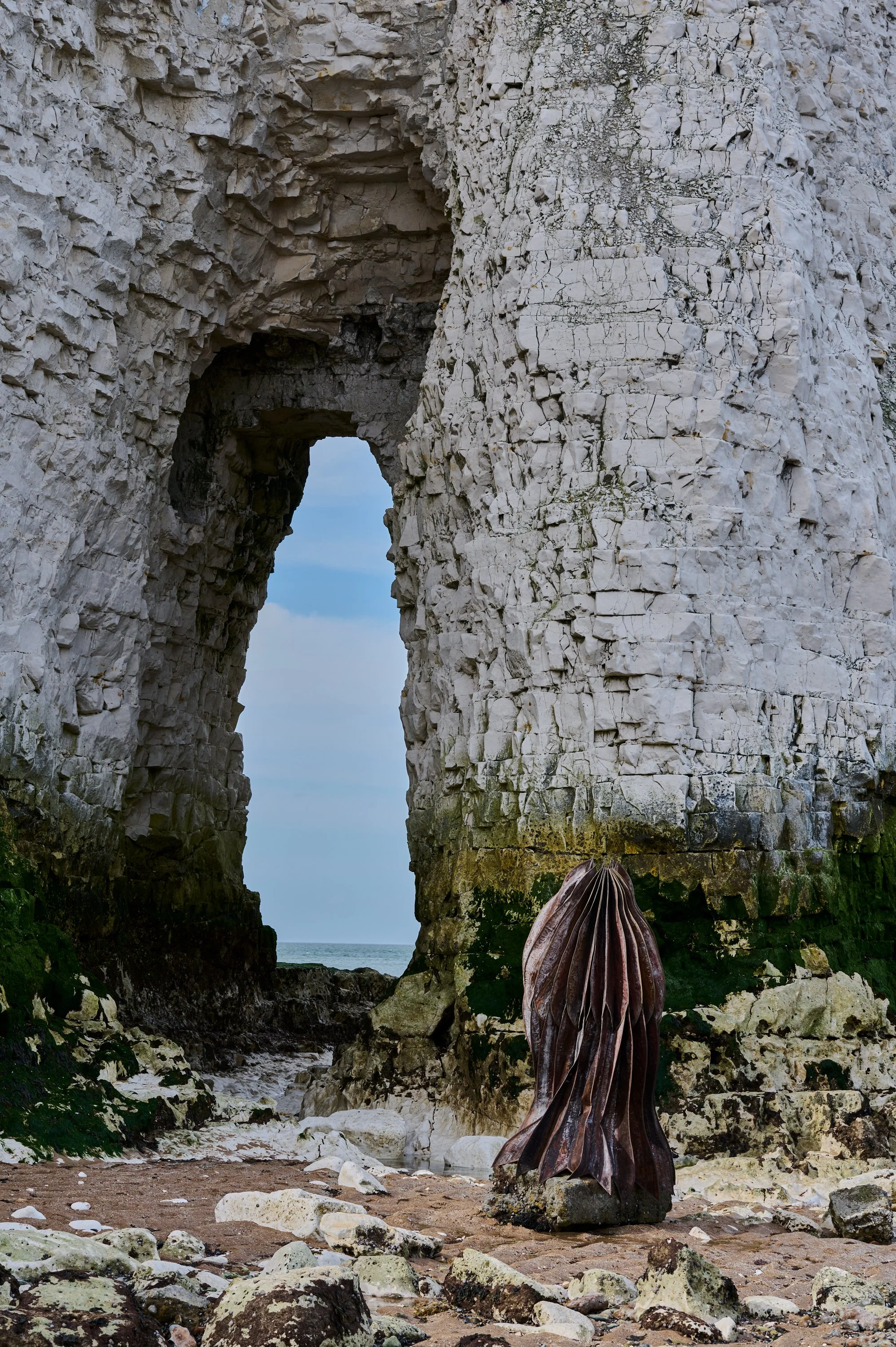 10.AP.Home on Earth .jpg