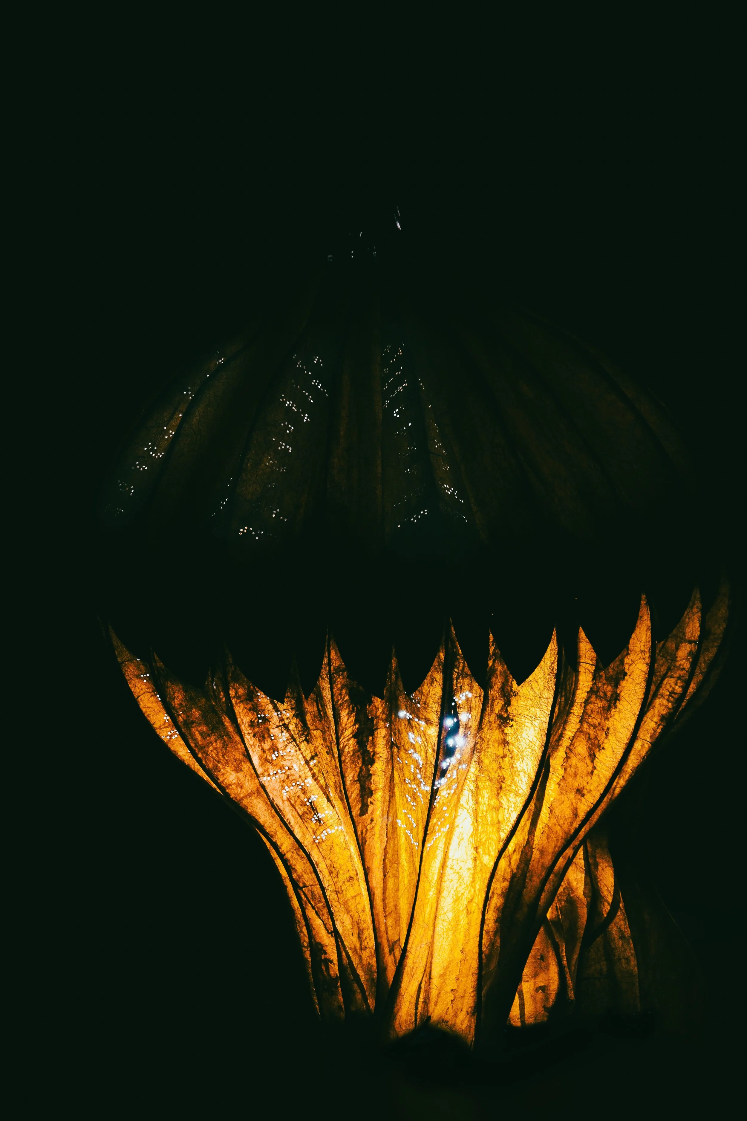 PLANTSPEAK