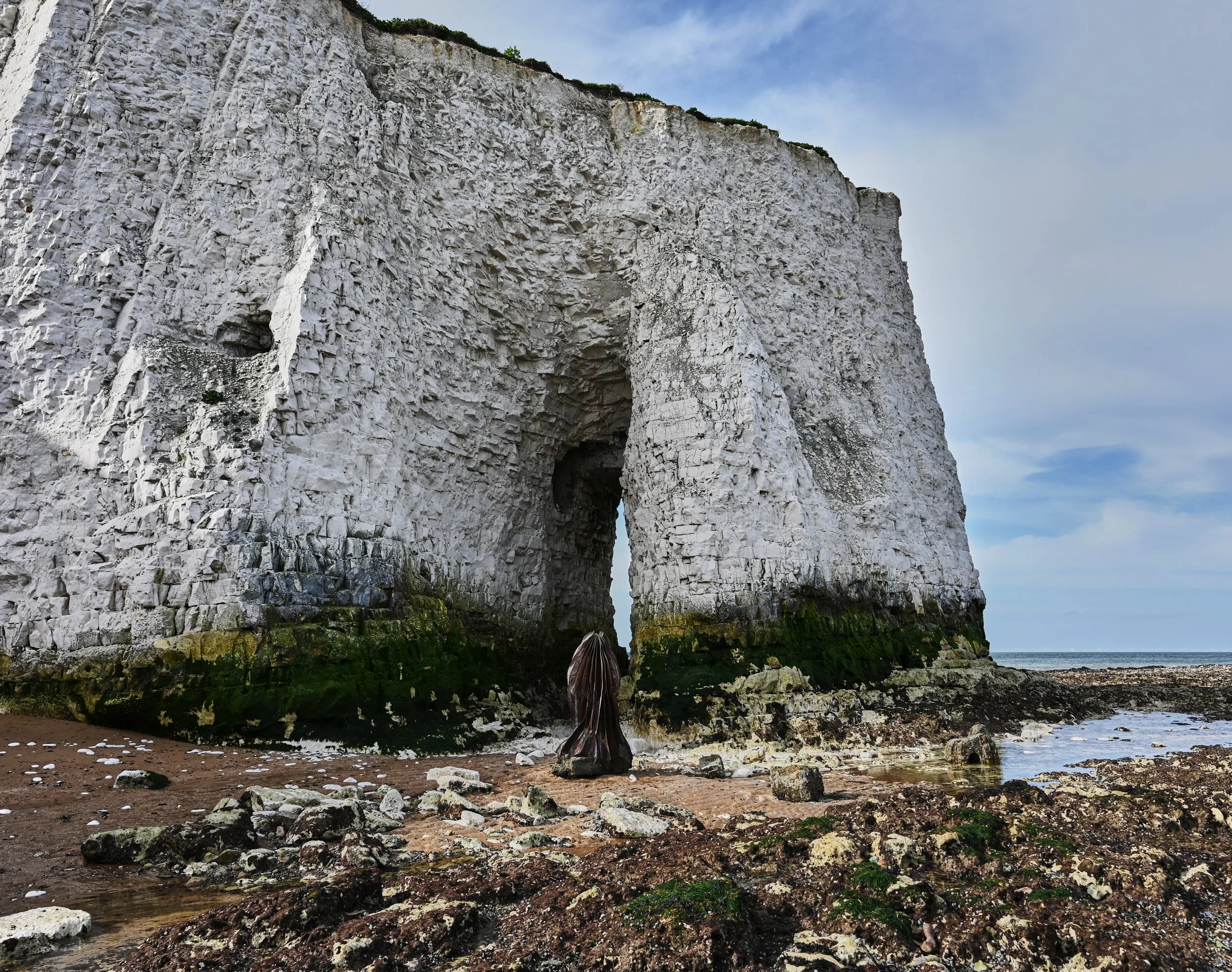 1.AP.Expanding Umwelt.jpg