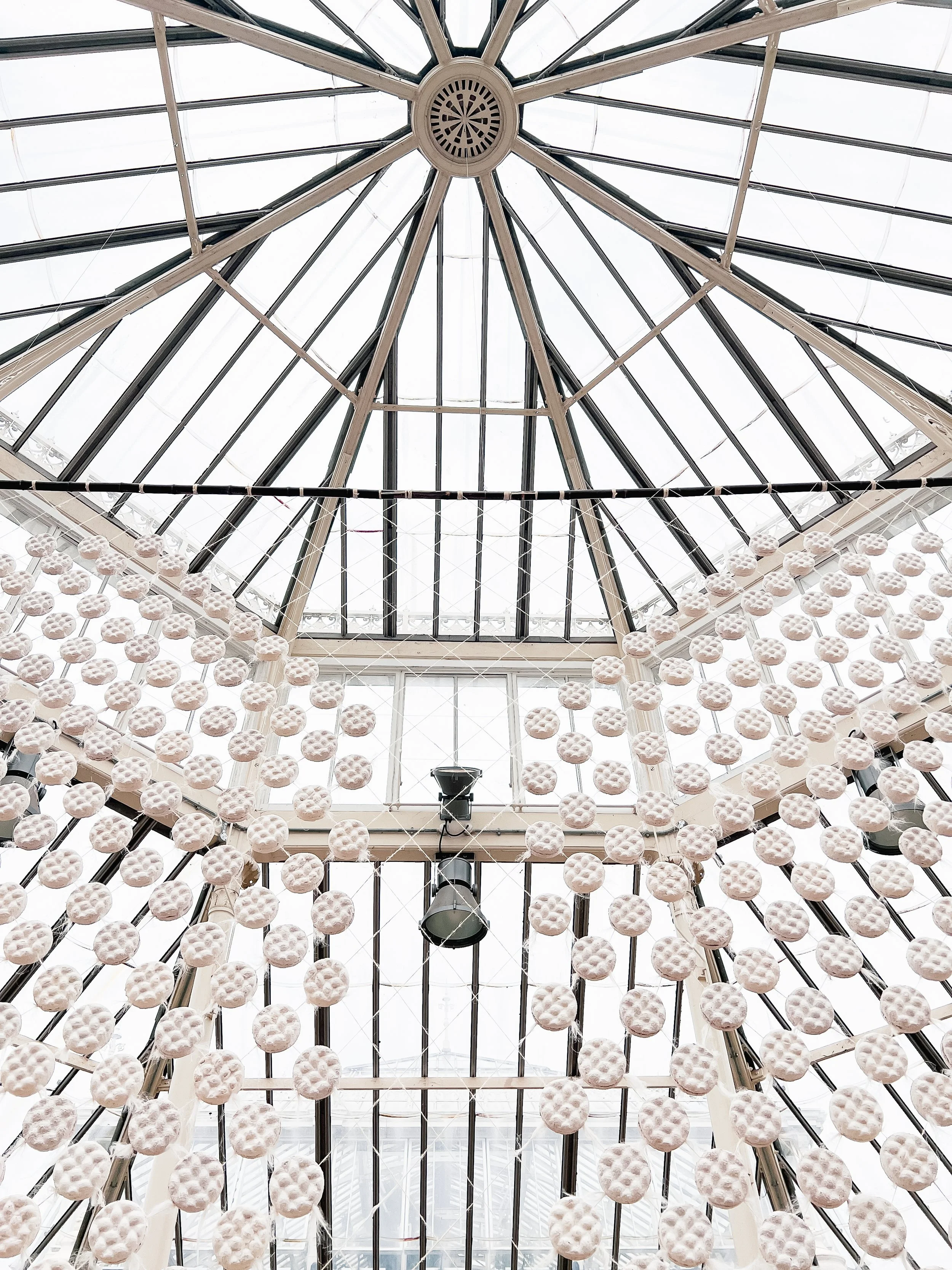 Hyphal Body_2025_Jessie Curry_9.jpg