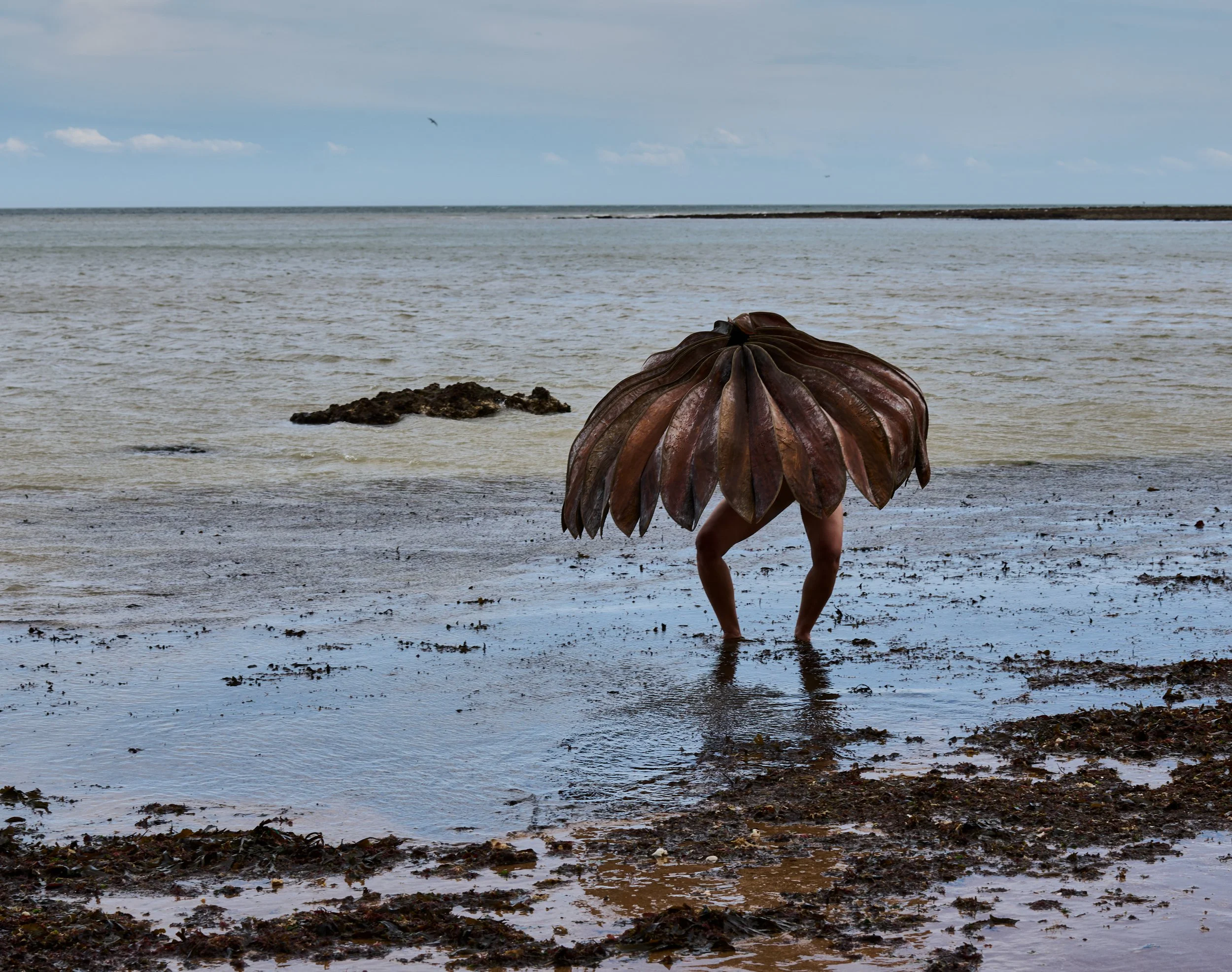 9.AP.Evolutionary Dance 2.jpg