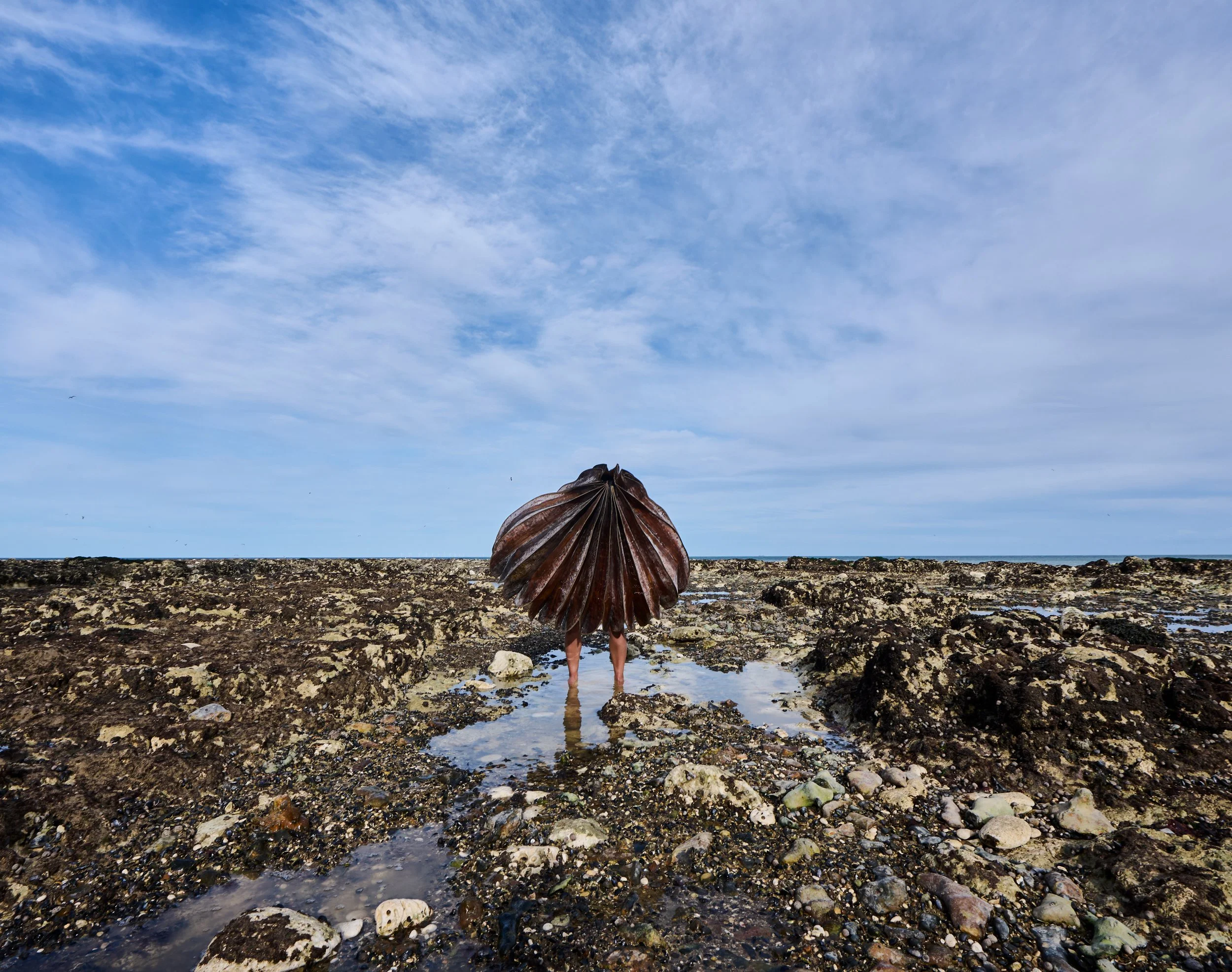 4.AP.Primordial Soup.jpg