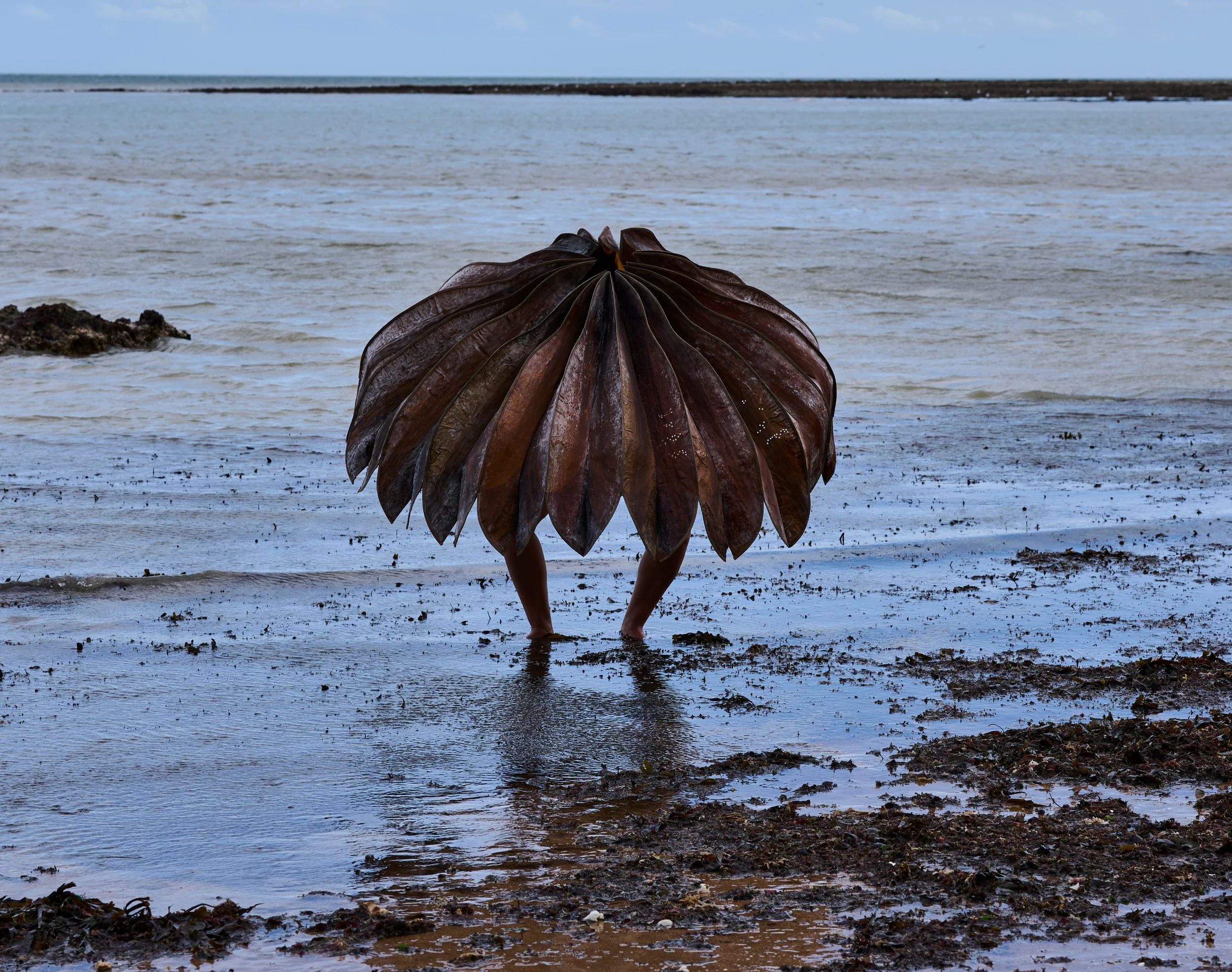 5.AP.Emergence of Life.jpg