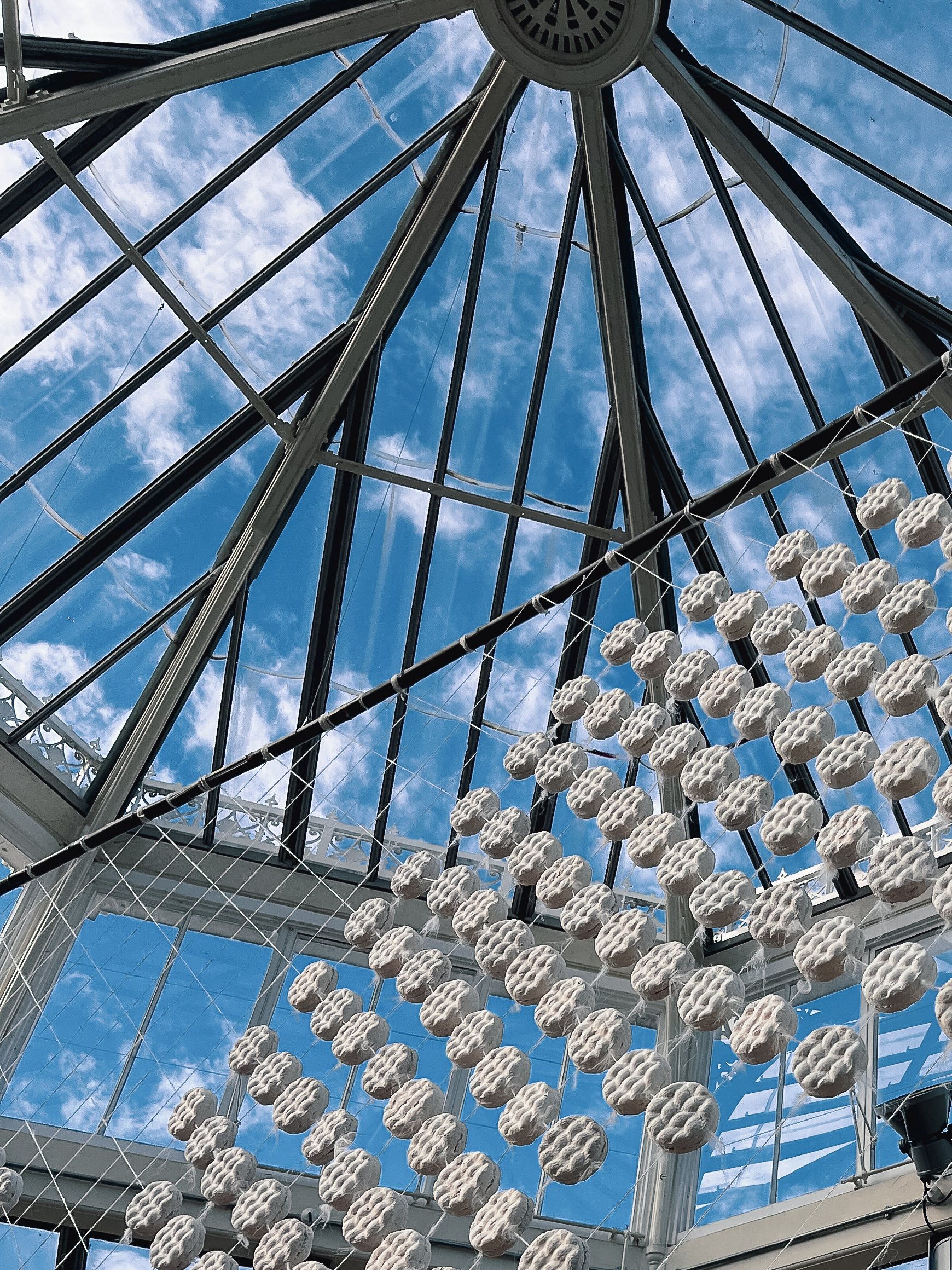 Hyphal Body_2025_Jessie Curry_4.jpg