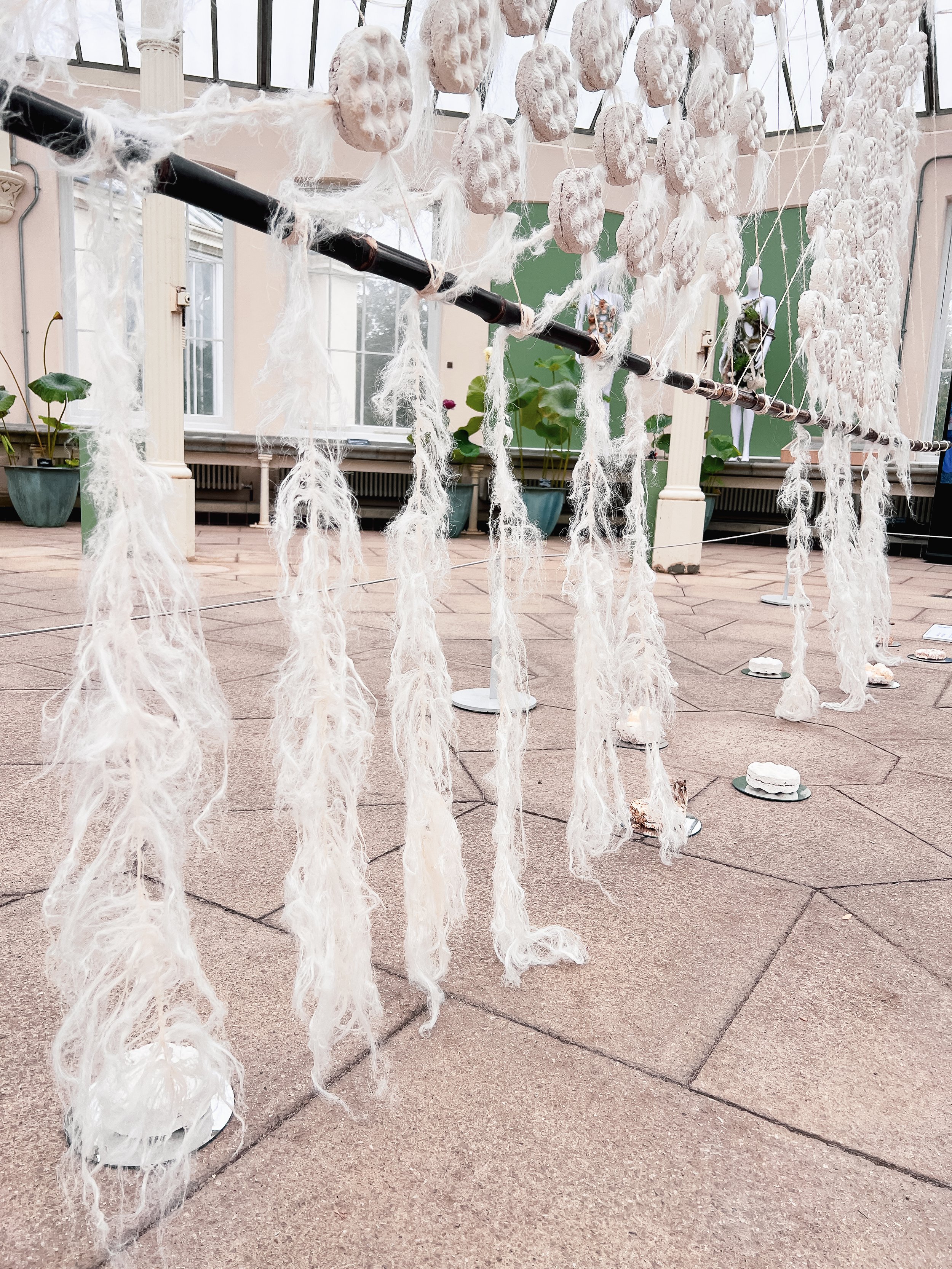 Hyphal Body_2025_Jessie Curry_20.jpg