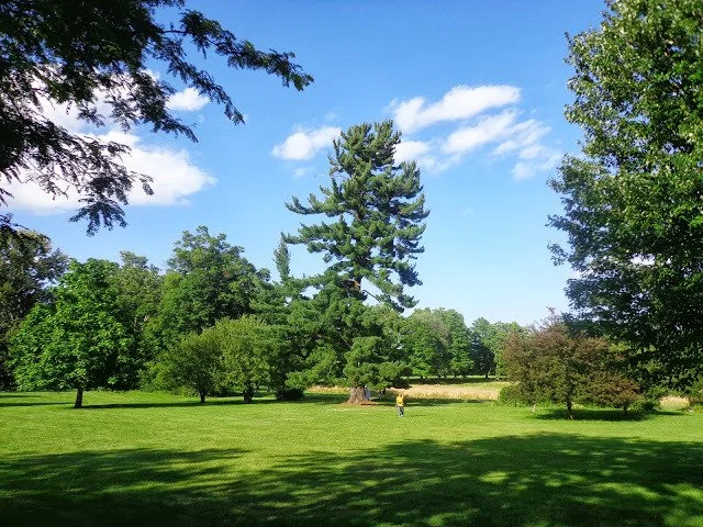 VIVEKANANDA FESTIVAL AT VIVEKANANDA RETREAT, RIDGELY 2013 5.jpeg