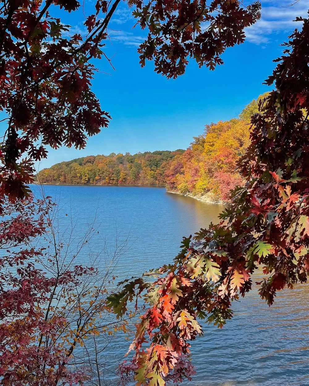October in Bloomington 🍂
&bull;
&bull;
&bull;
&bull;
&bull;
&bull;
&bull;
&bull;
&bull;
#october #fall #fallphotography #beautiful #autumn #boniverseason #shotoniphone #travel #only_in_indiana #onlyinindiana #visitindiana #visitbtown #bloomingtonind