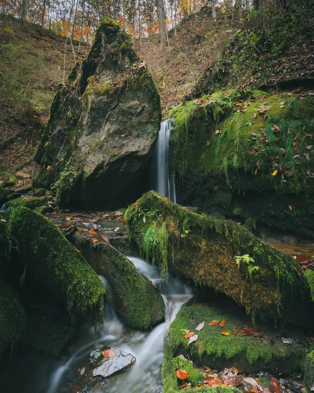 It&rsquo;s been so fun exploring southern Indiana this fall. With all of the trips I&rsquo;ve taken this year I&rsquo;ve realized it&rsquo;s easy to forget the little gems right in my back yard
&bull;
ps swipe to see the best adventure partner
&bull;