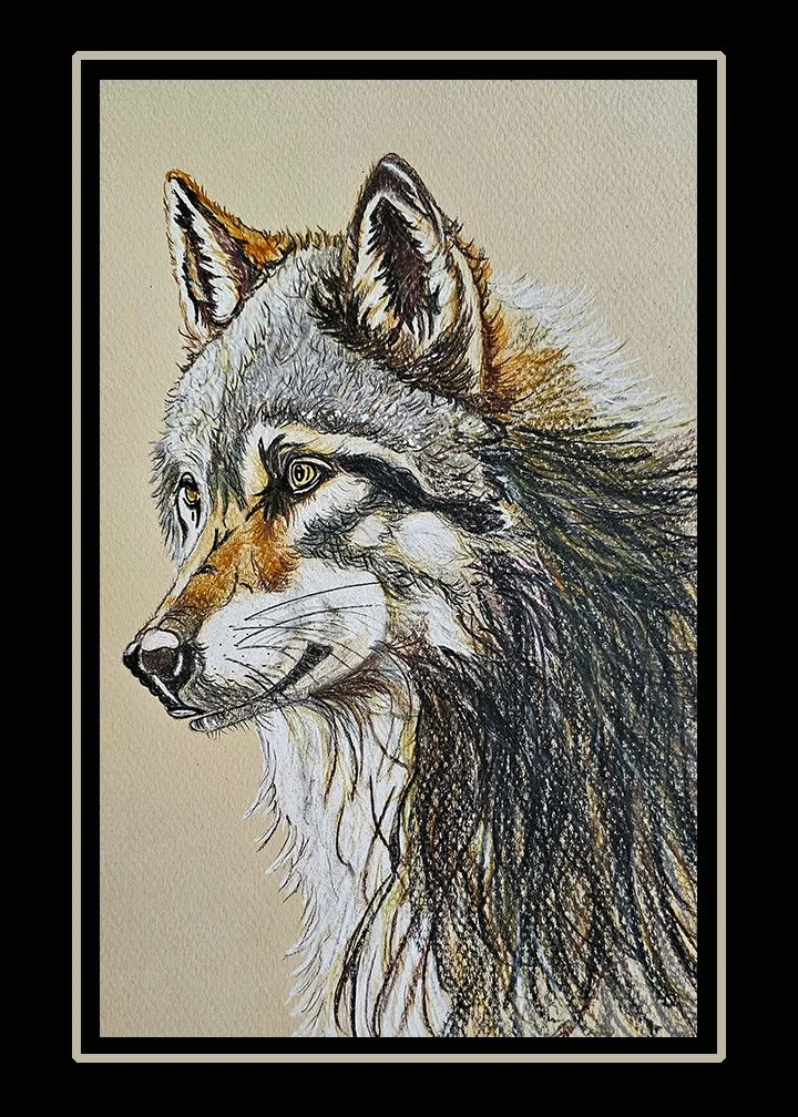 Wolf Pencil Crayon.jpg