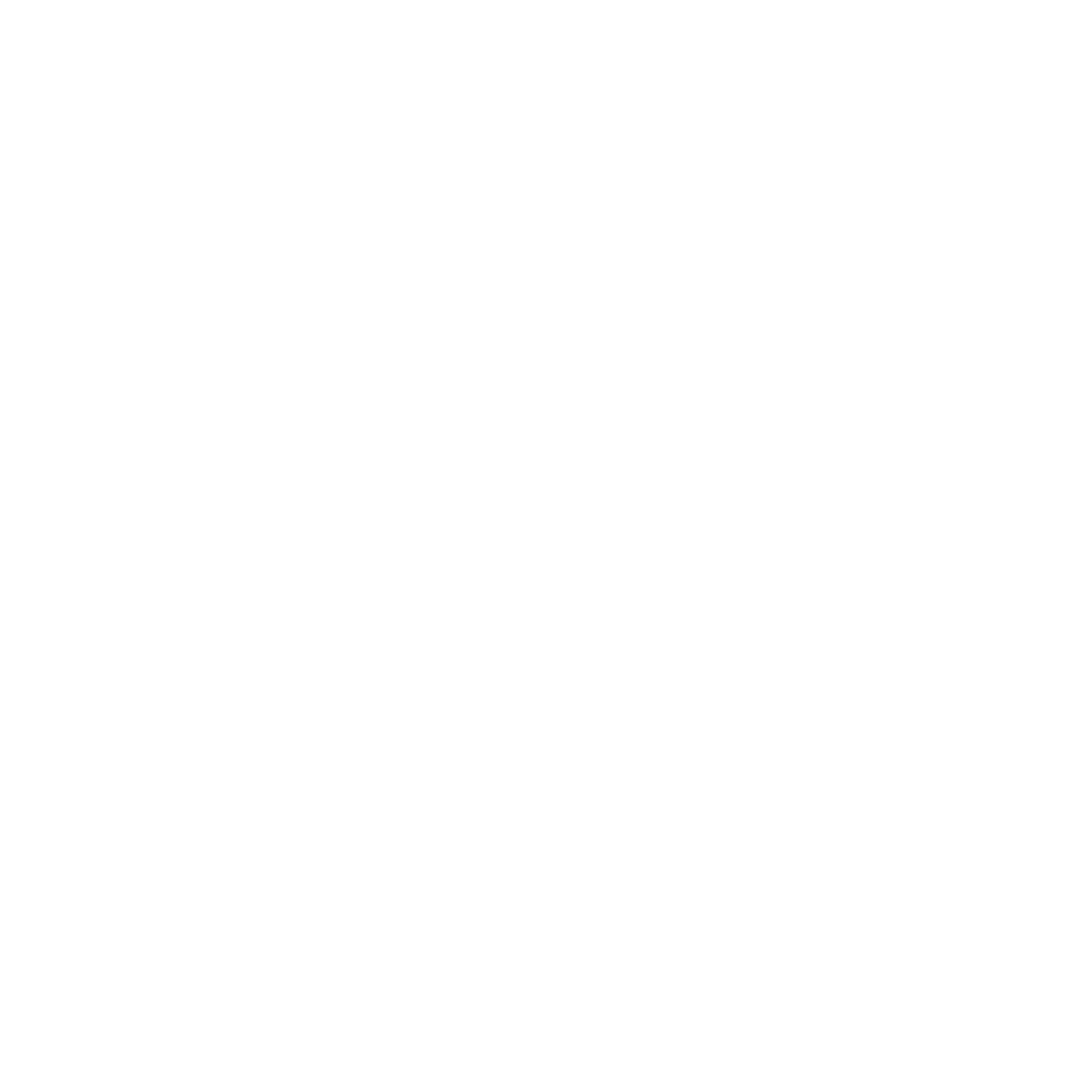 Lynsie Steinley Christian Coaching