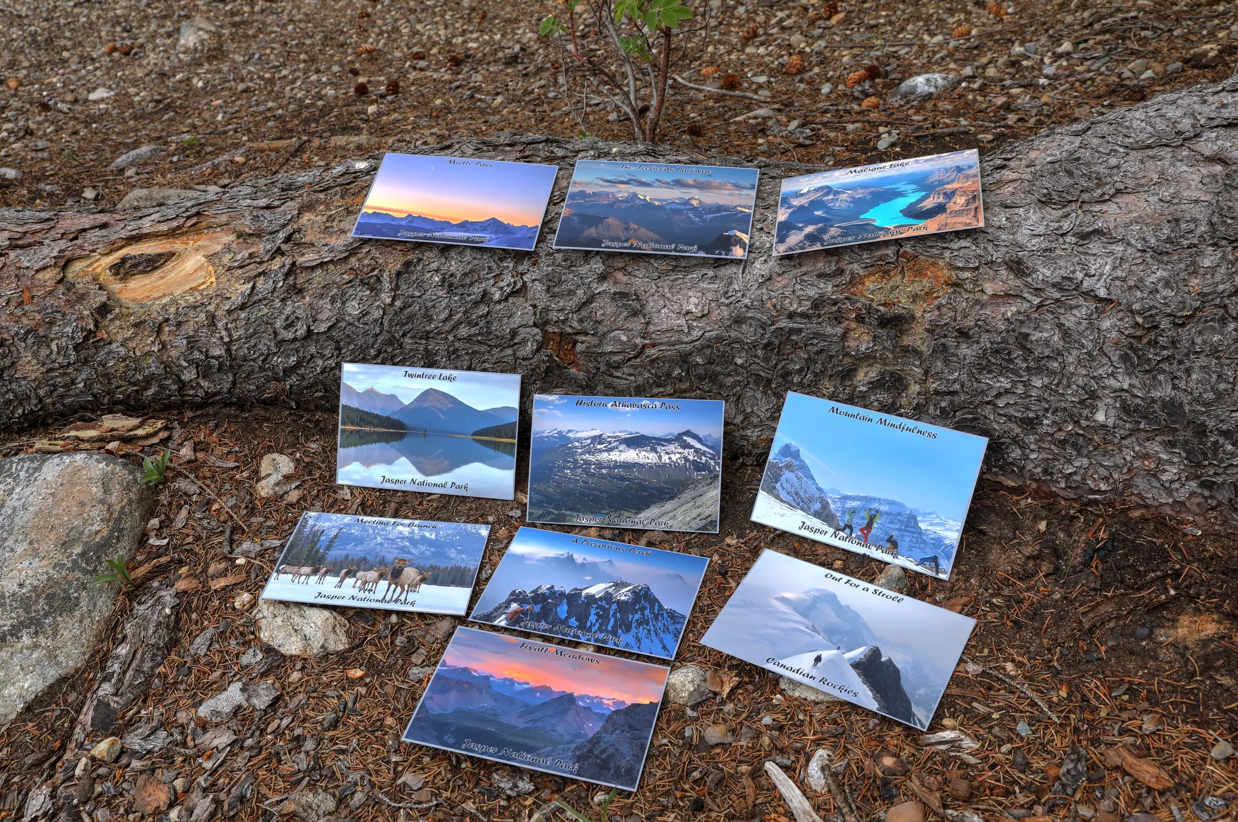 Summer 2023 Postcard Pack (10 Cards)