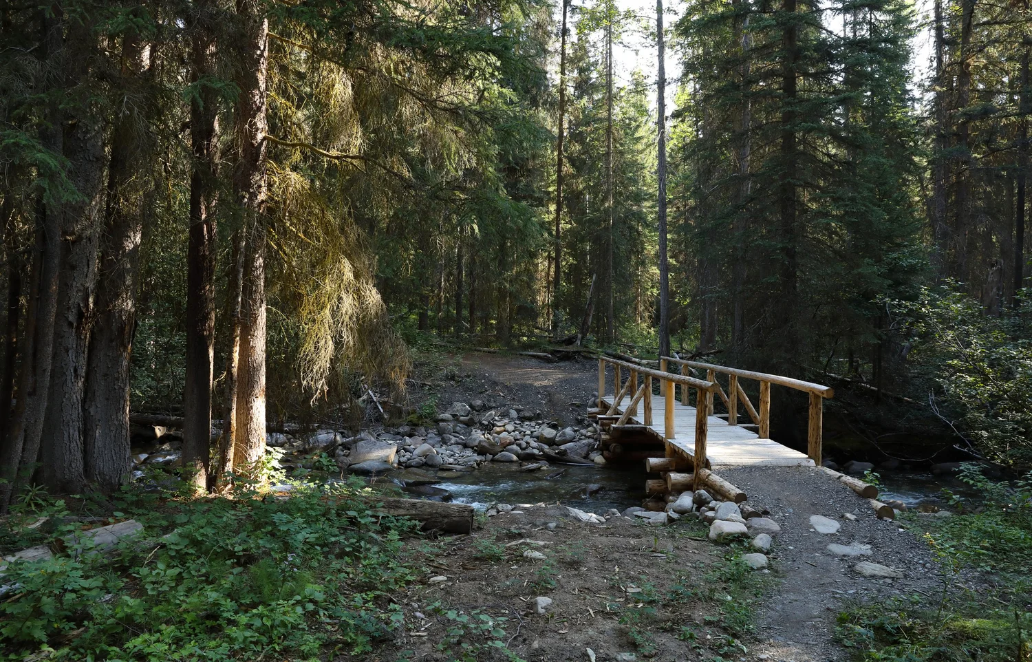 Elysium Pass 3 Day Guided Backpacking Adventure in Jasper National Park —  Starry Summit Mountain Adventures and Media