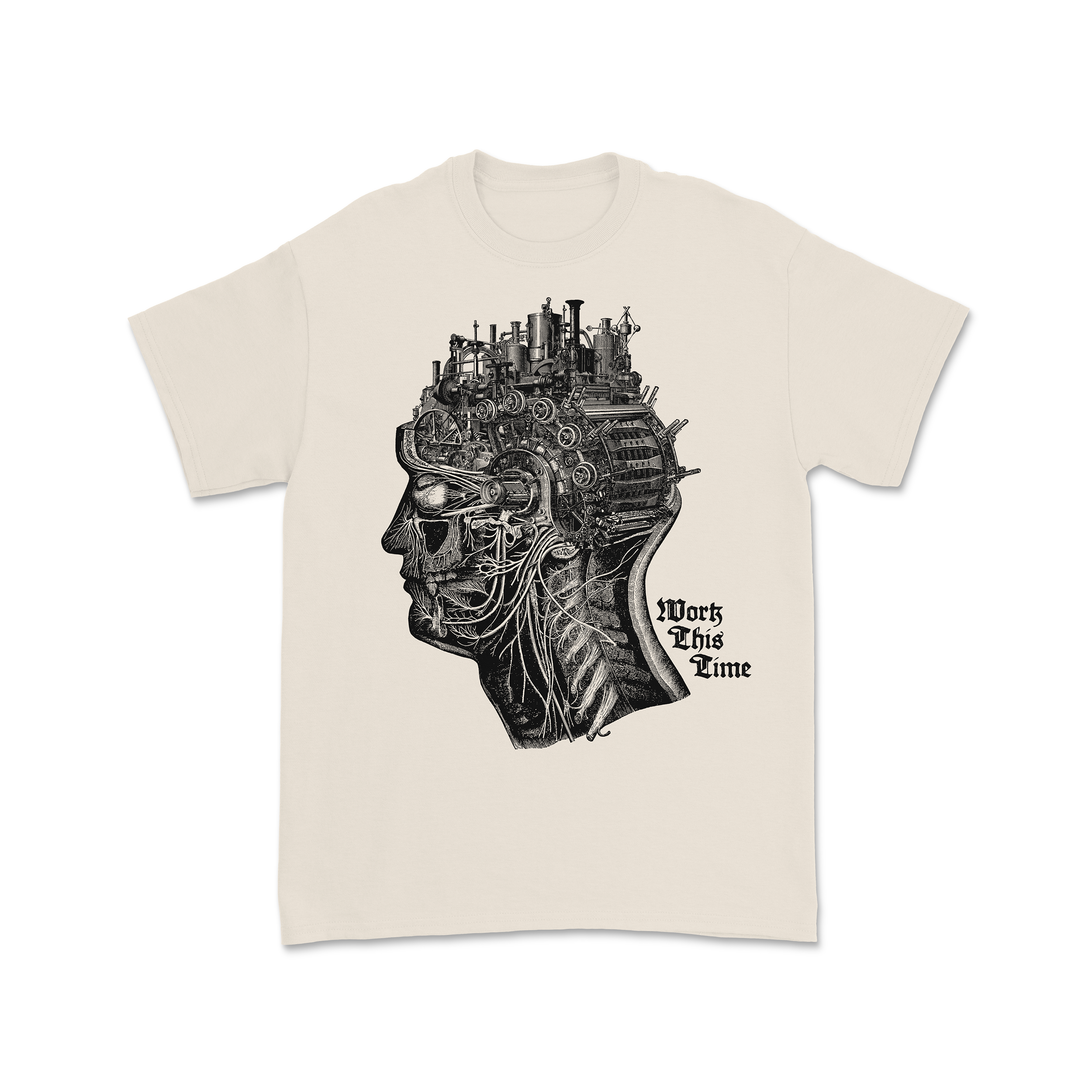 WTT-1.png