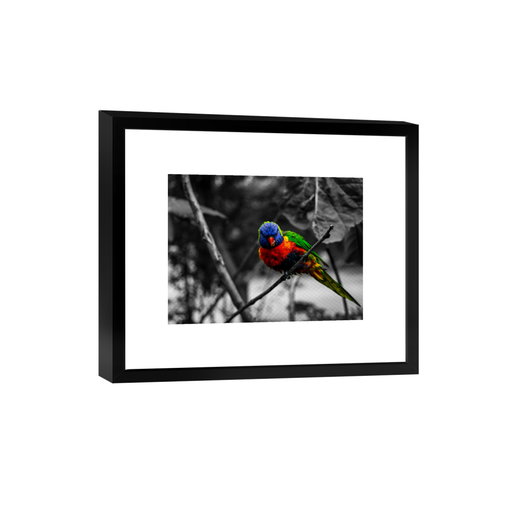 Get a Print of a Rock n' Roll Concert in Hamilton, Ohio