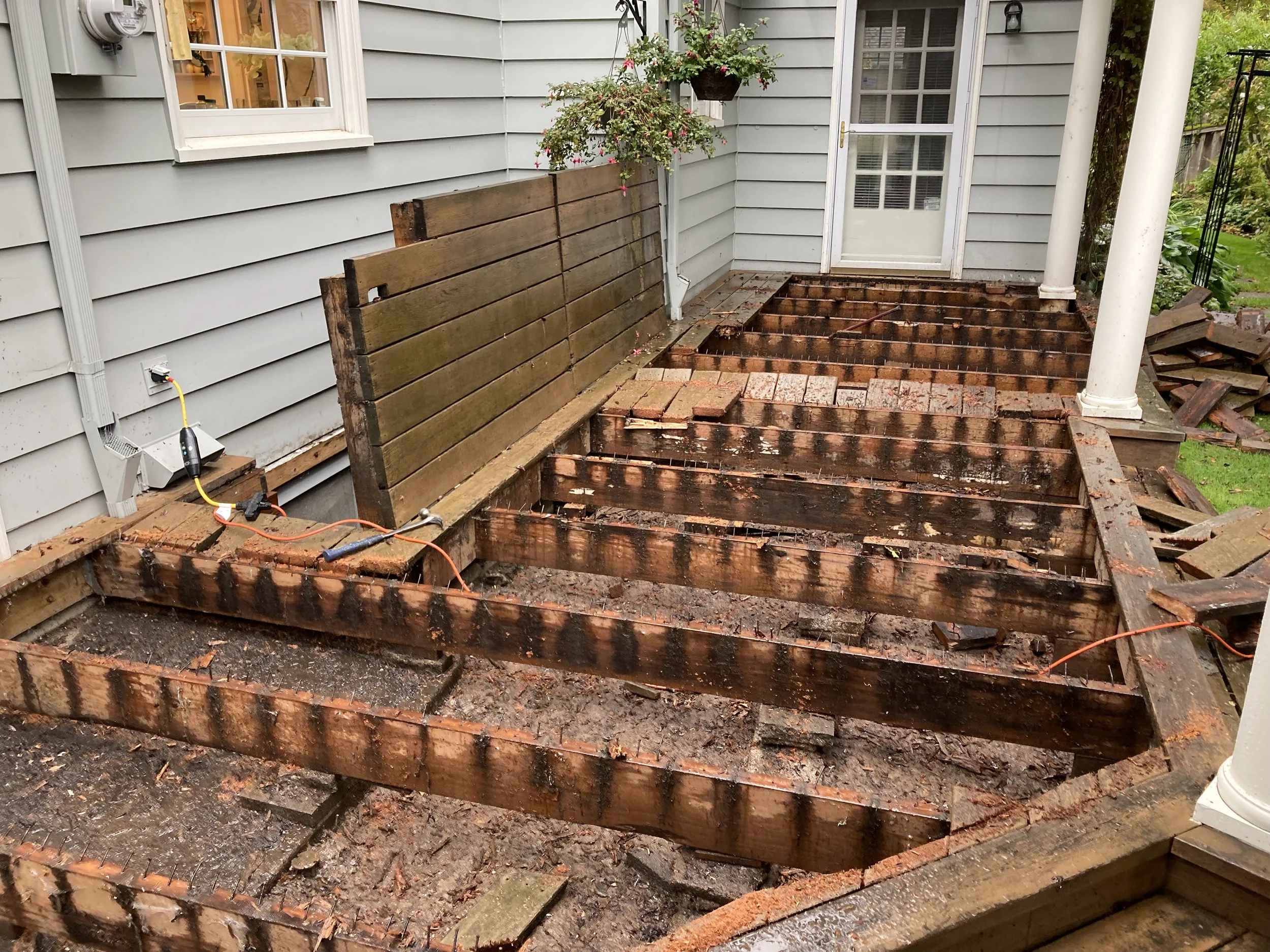 Buzz-before deck1.jpeg