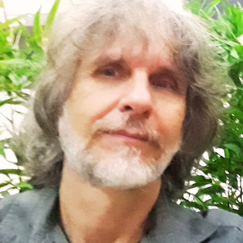 Canções ecológicas e animalistas na MPB: de Erasmo Carlos a Chico César – Parte 3