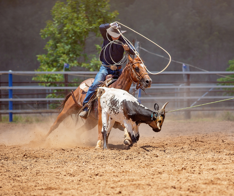 Presidente sanciona Lei que reconhece Rodeio Crioulo como cultura popular