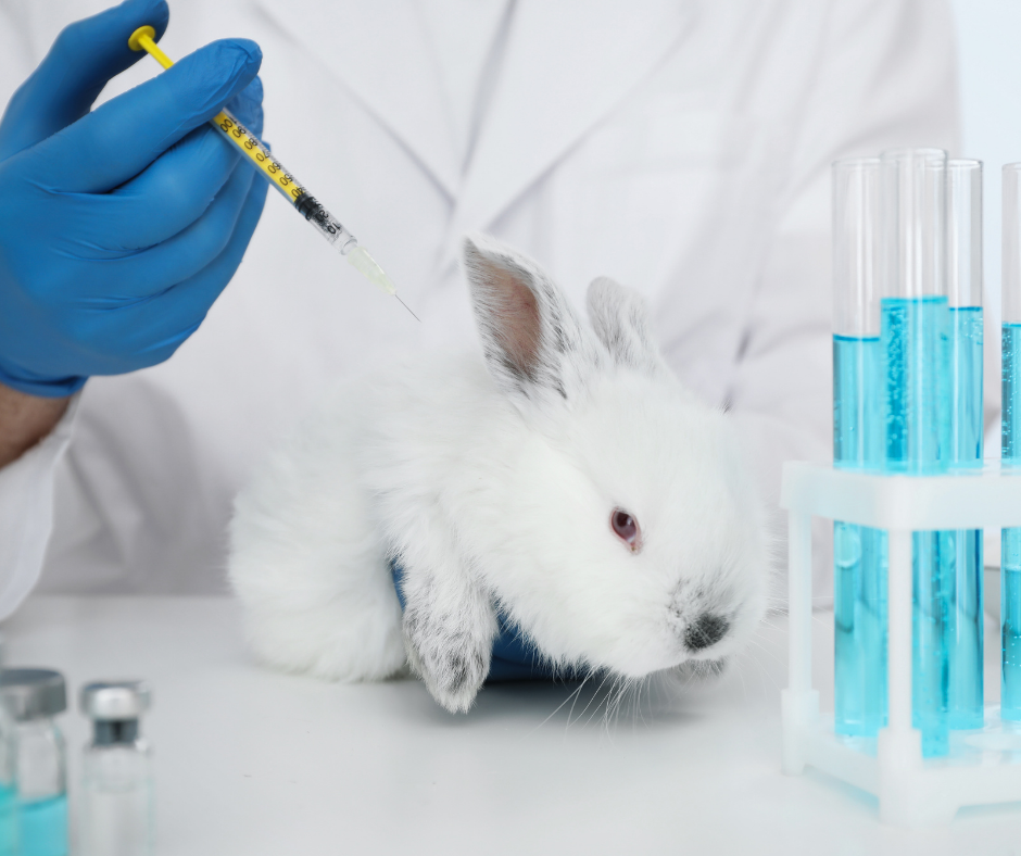 Lei que cria Inventário de Substâncias Químicas e restringe testes em animais é sancionada no Brasil