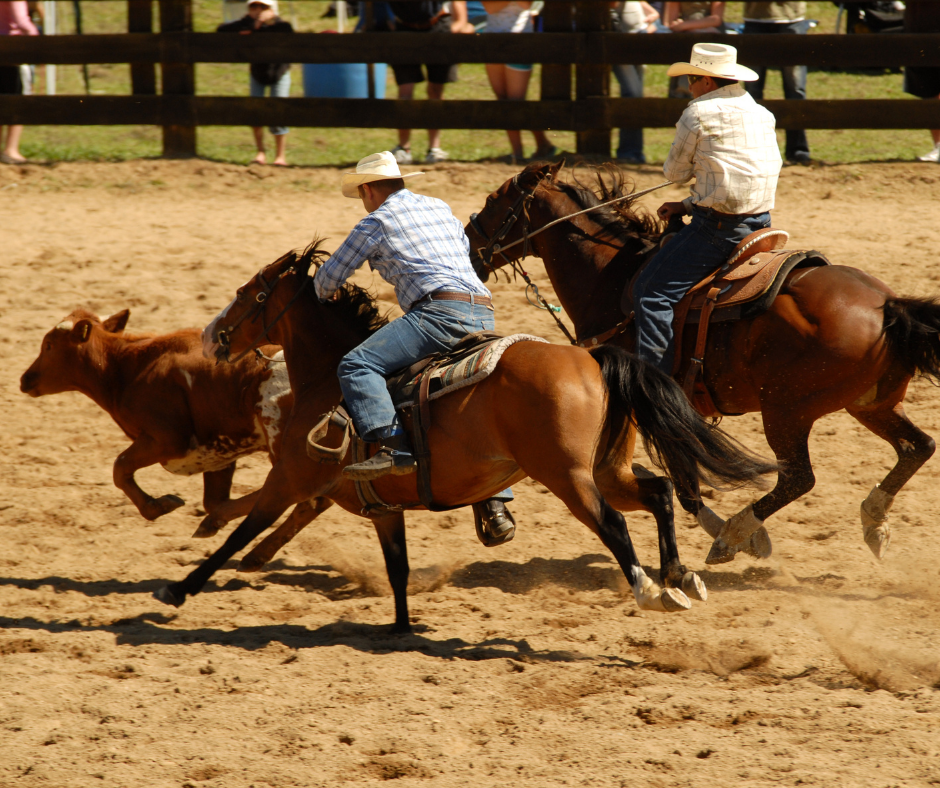 STF: Plenário suspende julgamento de emenda que permitiu vaquejadas
