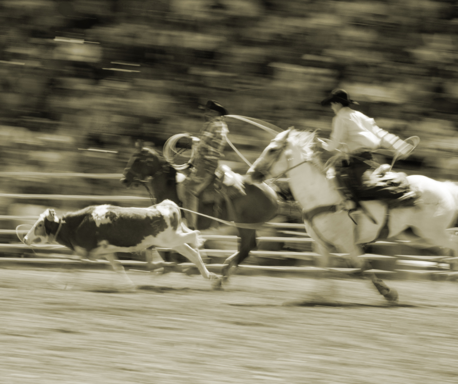 STF valida mudança na Constituição que viabilizou prática da vaquejada