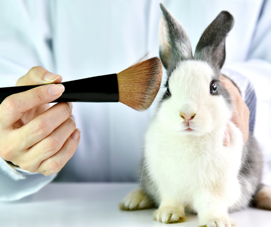 Lula sanciona lei que proíbe uso de animais em testes de cosméticos