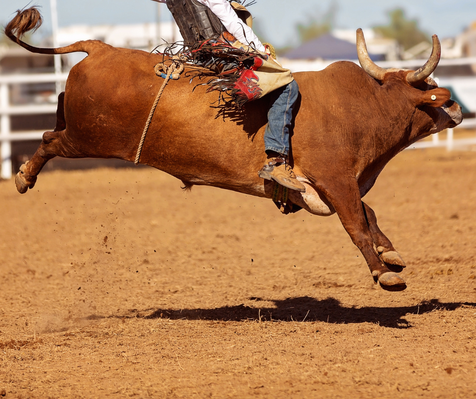 STF: Moraes adia análise de limites em campanhas contra rodeios