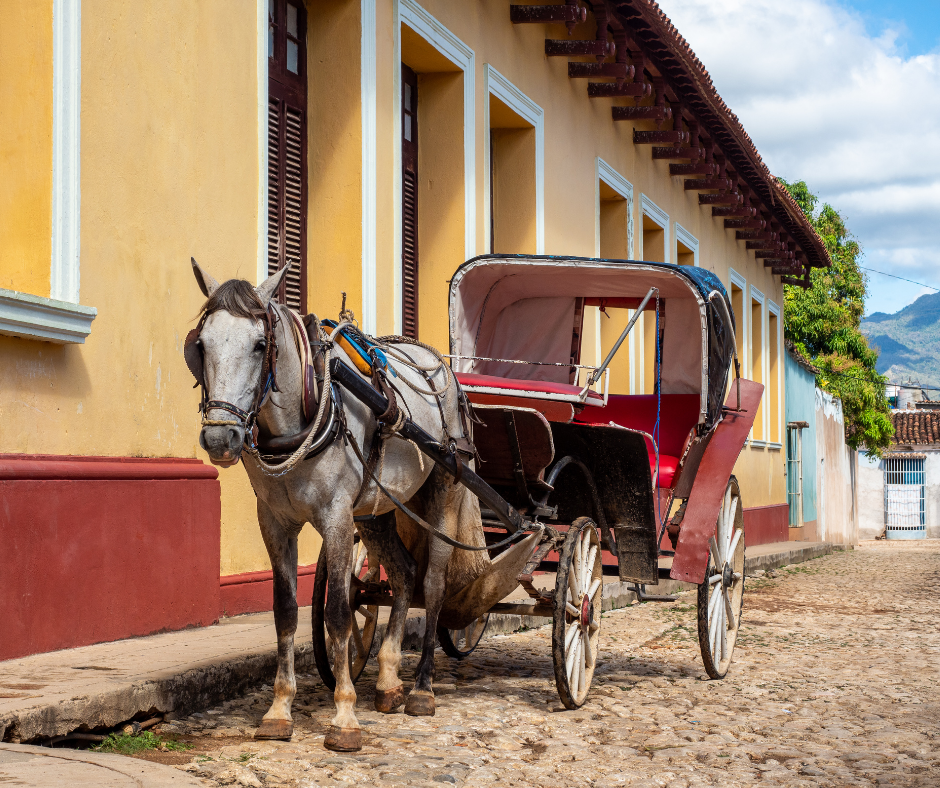 MG: Poços de Caldas proíbe o uso de charretes turísticas puxadas por cavalos