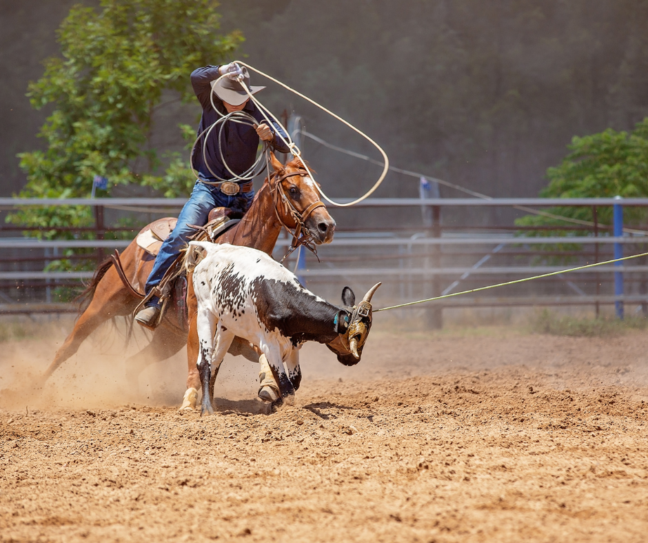 STF confirma validade da EC da Vaquejada e condiciona prática a bem-estar animal